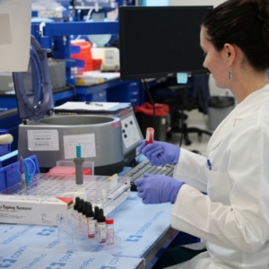 Transplant Immunology Lab Setup