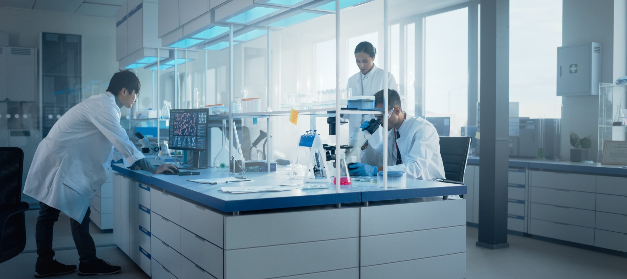 transplant immunology lab